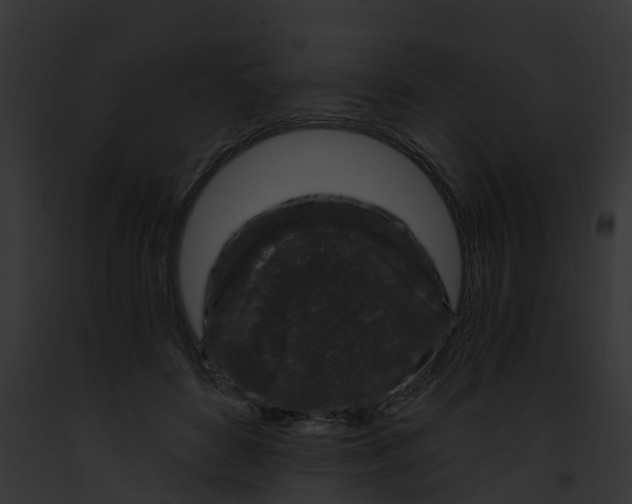 X0000091900504200710031205