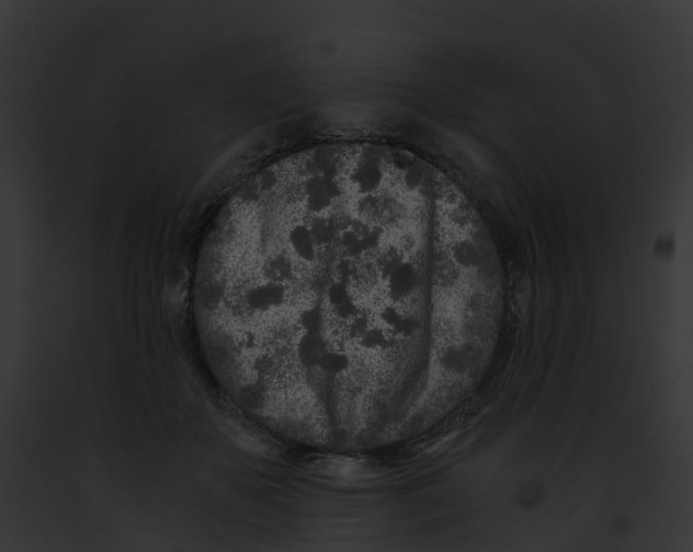 X0000091900507200710031205