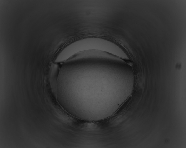 X0000091900509200710031205