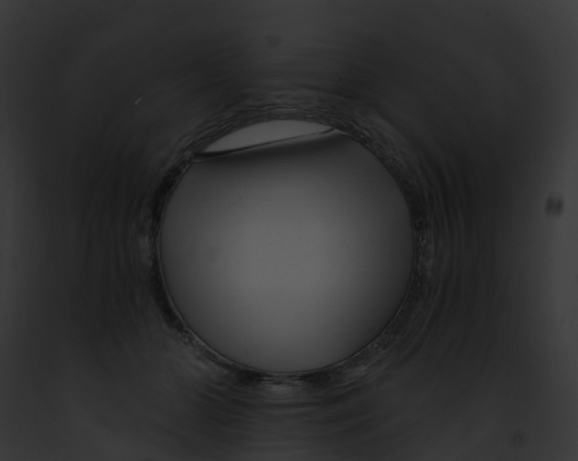 X0000091900510200710031205