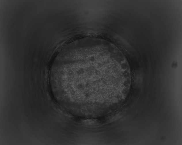 X0000091900511200710031205