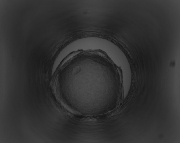 X0000091900512200710031205