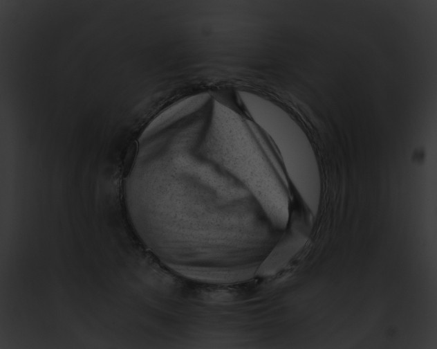 X0000091900513200710031205