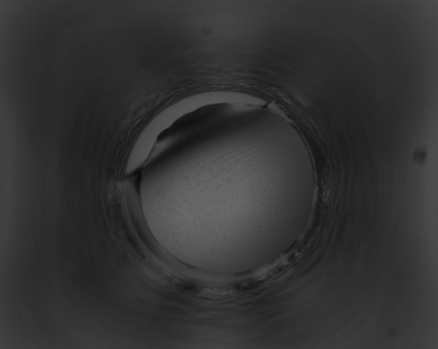 X0000091900515200710031205