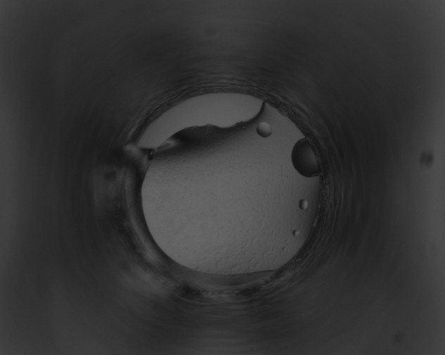 X0000091900516200710031205