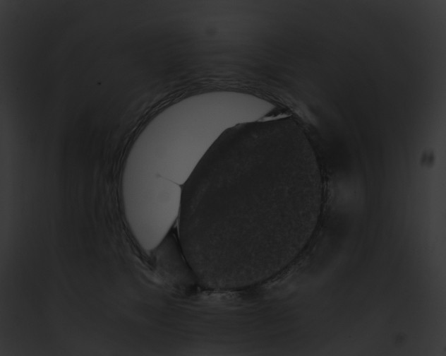 X0000091900517200710031205