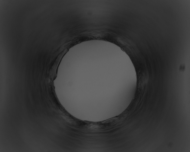 X0000091900518200710031205