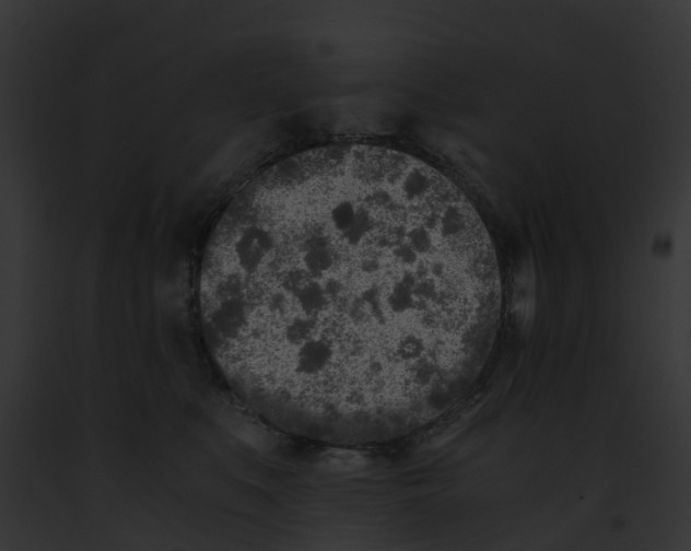 X0000091900519200710031205