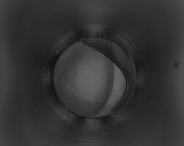 X0000091900520200710031205