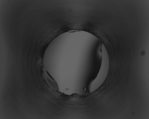 X0000091900521200710031205