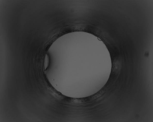 X0000091900522200710031205