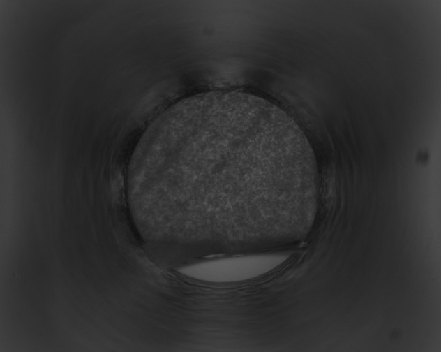 X0000091900523200710031205