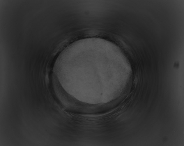 X0000091900524200710031205