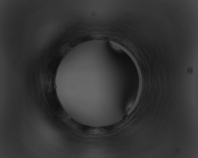 X0000091900525200710031205