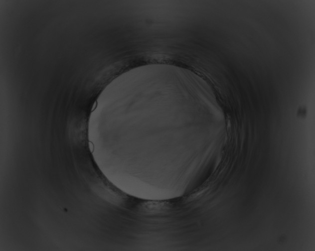 X0000091900526200710031205