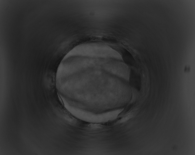 X0000091900528200710031205