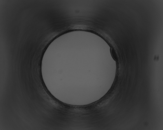 X0000091900529200710031204