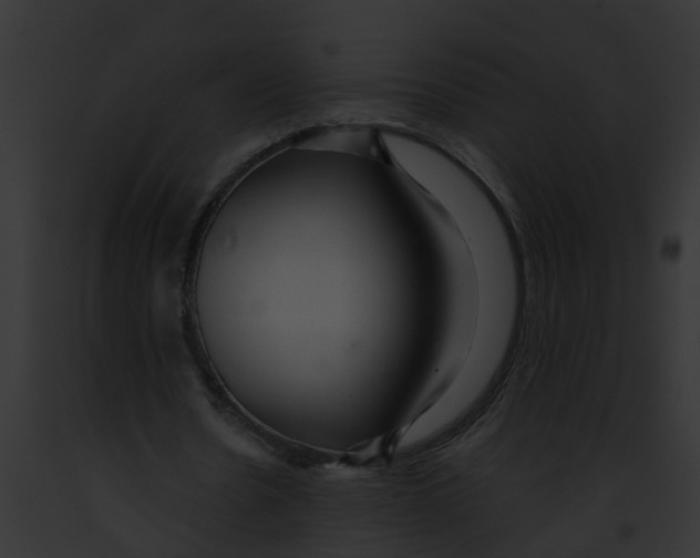 X0000091900530200710031204