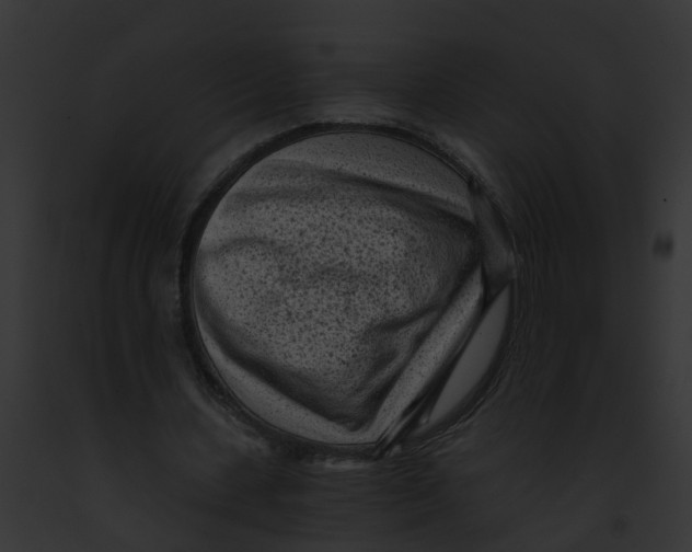 X0000091900531200710031204