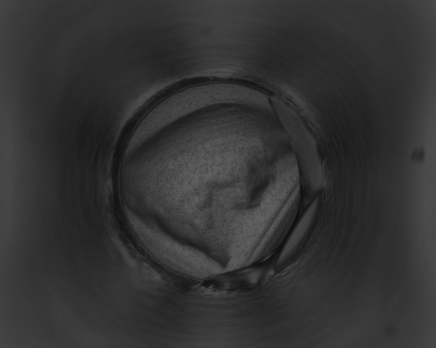 X0000091900532200710031204