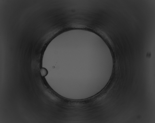 X0000091900533200710031204