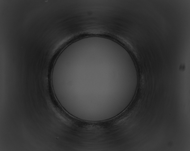 X0000091900535200710031204