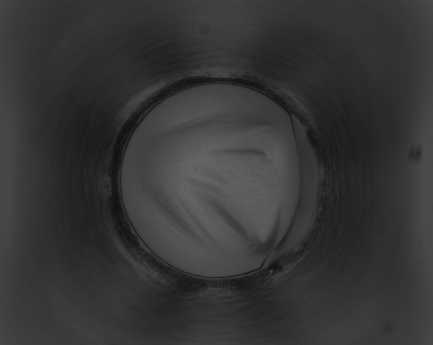 X0000091900536200710031204