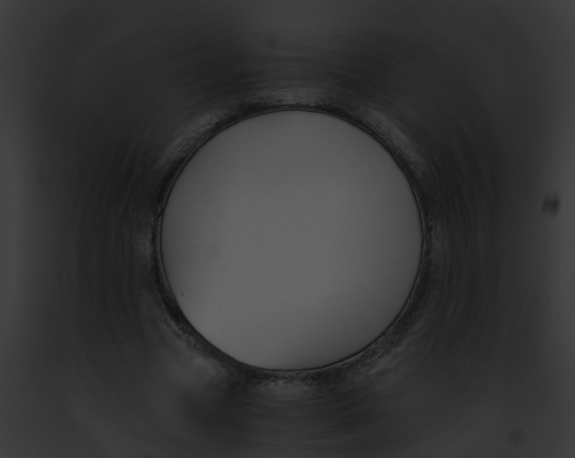 X0000091900537200710031204