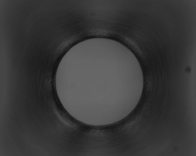 X0000091900538200710031204