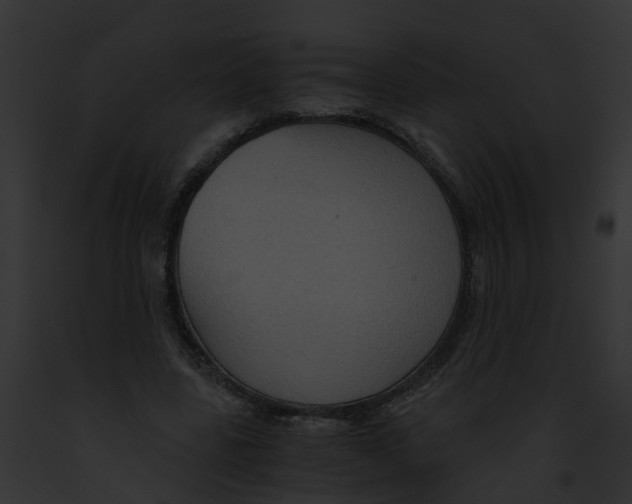 X0000091900539200710031204