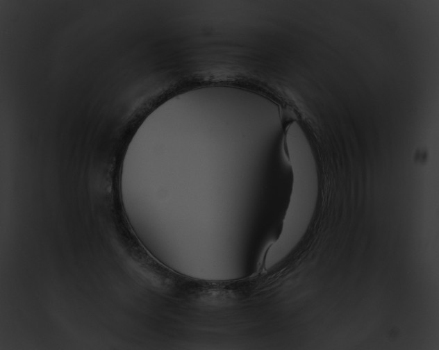 X0000091900543200710031204