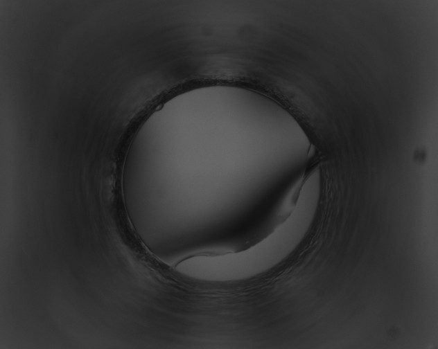 X0000091900544200710031204