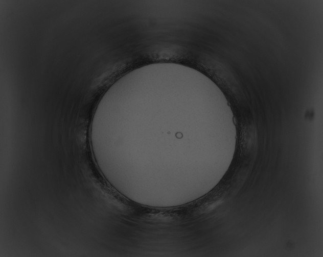 X0000091900545200710031204