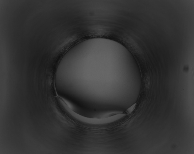 X0000091900546200710031204