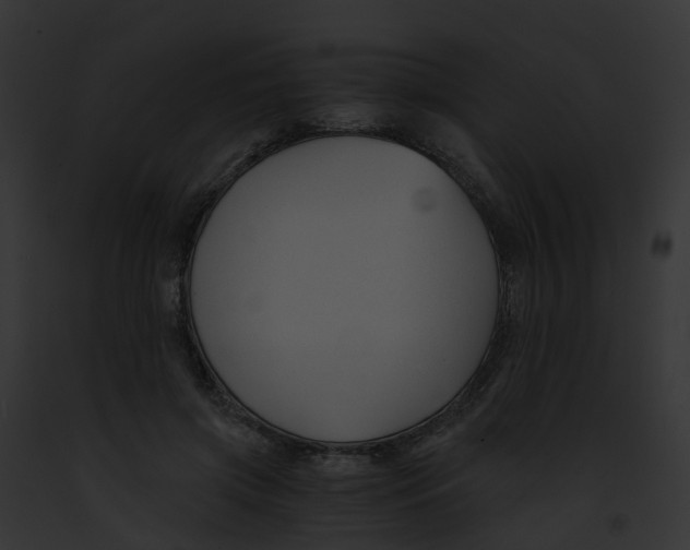 X0000091900549200710031204