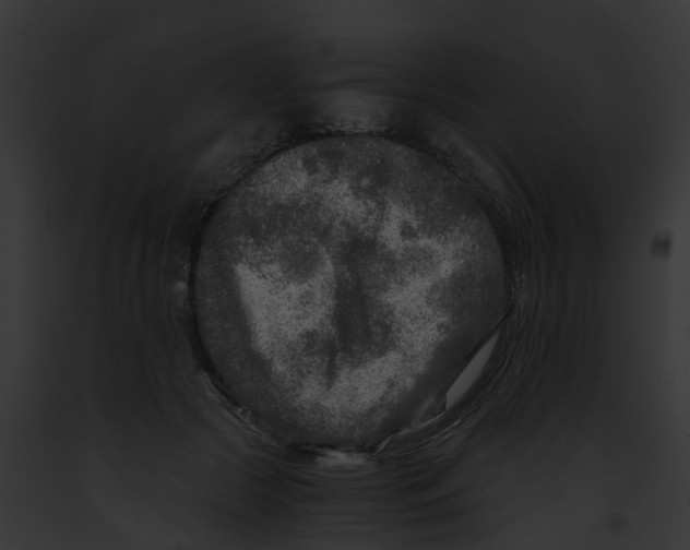 X0000091900553200710031204