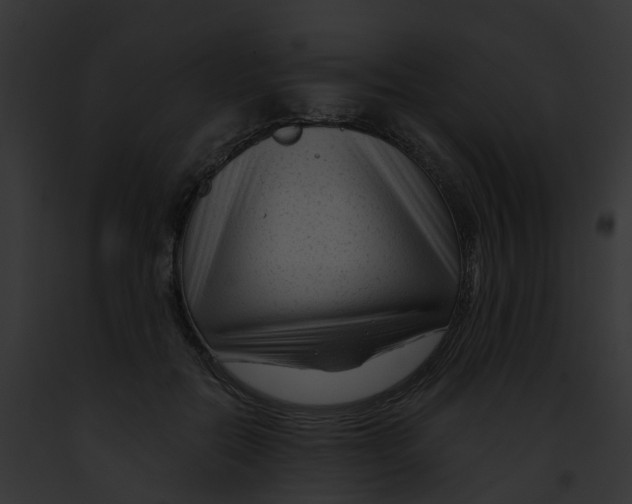 X0000091900554200710031204