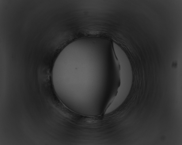 X0000091900555200710031204