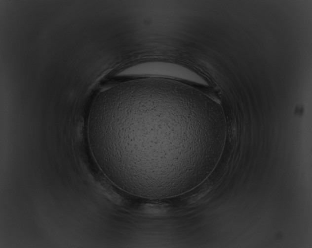 X0000091900556200710031204