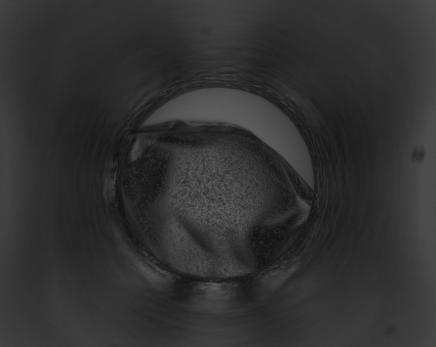 X0000091900558200710031204