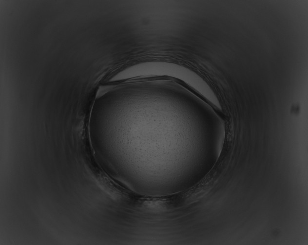 X0000091900560200710031204