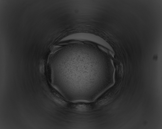 X0000091900562200710031204