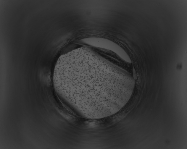 X0000091900564200710031204