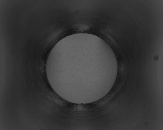 X0000091900565200710031204