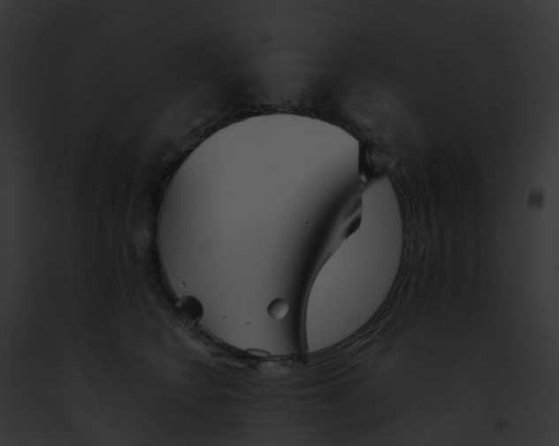 X0000091900566200710031204