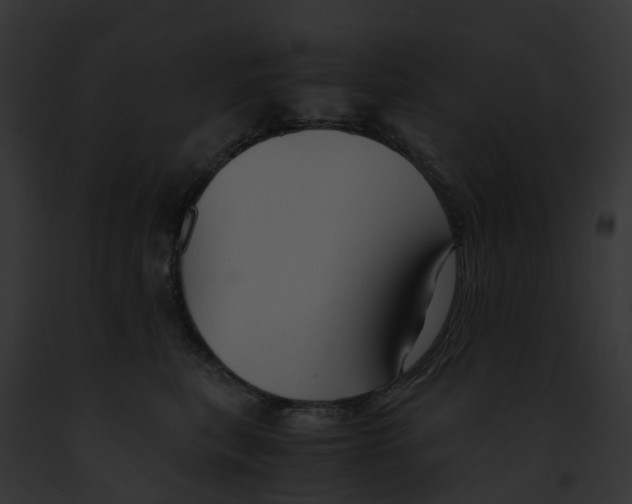 X0000091900567200710031204