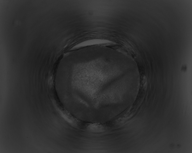 X0000091900568200710031204