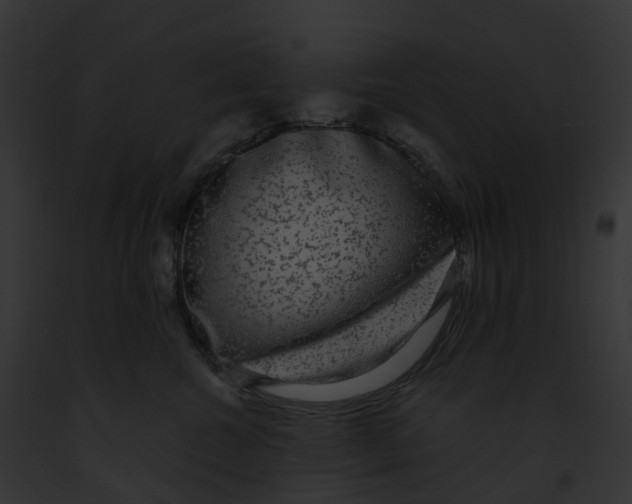 X0000091900572200710031204