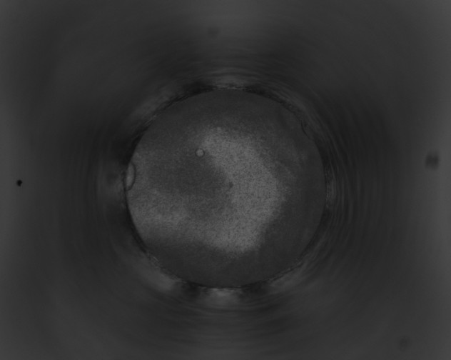 X0000091900573200710031204