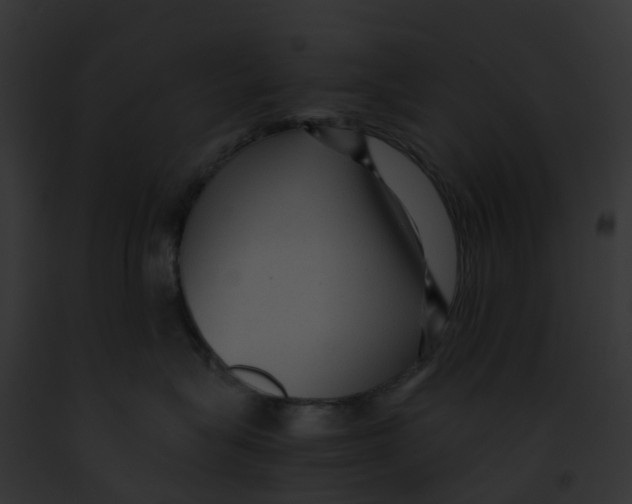 X0000091900575200710031205